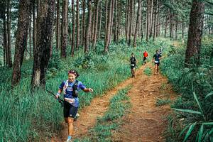 BIB: 
                            <button type="button" onclick="openModal(25714095)" class="btn btn-primary btn-sm float-right btn-popup" data-toggle="modal" data-target=".modal-high-quality">
                        <i class="fas fa-shopping-cart"></i> Add to Cart
                    </button>
                                            <button type="button" onclick="isThisMe(25714095, true)" class="btn btn-success btn-sm float-right btn-popup btn-isme hidden" data-toggle="tooltip" data-placement="bottom" title="นี่คือรูปของคุณใช่ไหม คลิกที่นี่เพื่อเอาเข้าอัลบั้ม">
                        <i class="fas fa-plus"></i> Add to album
                    </button>
                    <button type="button" onclick="isThisMe(25714095, false)" class="btn btn-warning btn-sm float-right btn-popup btn-isnotme hidden">
                        <i class="fas fa-ban"></i> Remove from album
                    </button>